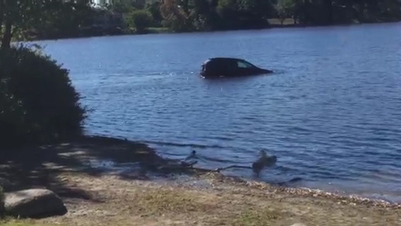 Bystanders save woman with seconds to spare as her SUV sinks in lake